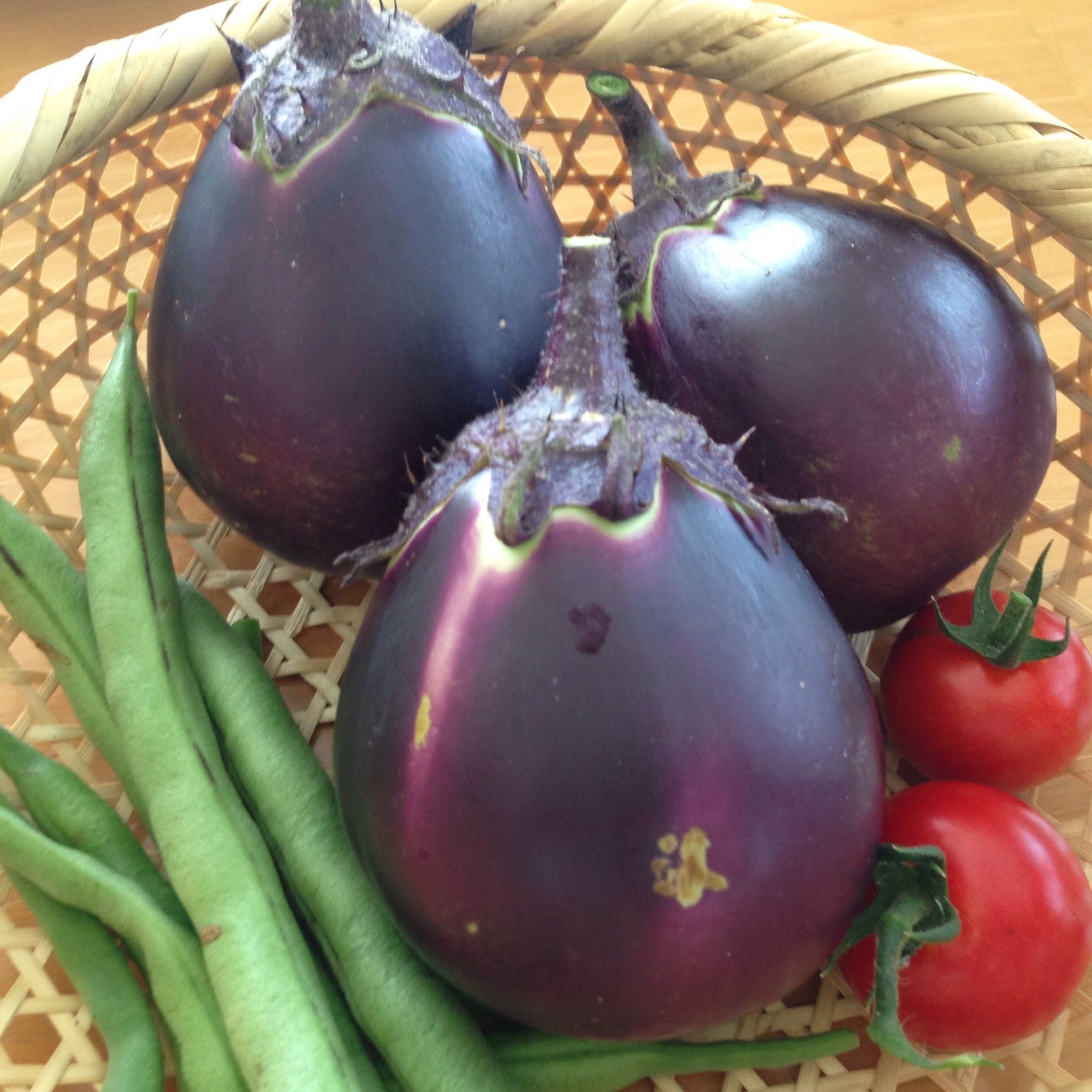 Japanese Round Eggplant "Black Egg" 日本圓茄子